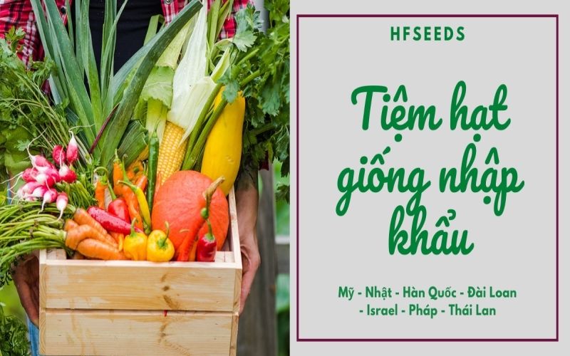 Shop hạt giống nhập TPHCM HFSeeds