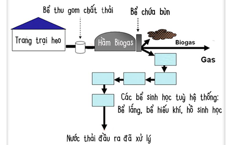 Xử lý bằng hệ thống biogas yếm khí