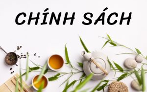 chính sách