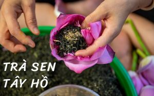 trà sen tây hồ