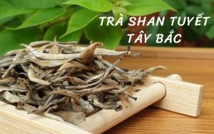 trà shan tuyết tây bắc
