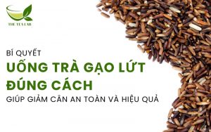 uống trà gạo lứt đúng cách