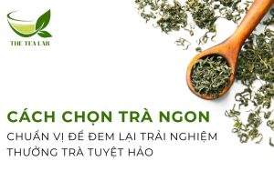 cách chọn trà ngon