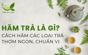 hãm trà là gì