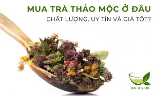 mua trà thảo mộc ở đâu