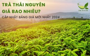 trà thái nguyên giá bao nhiêu