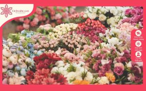cửa hàng hoa tươi Dichvuhoa..vn