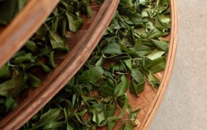 Các loại trà ngon phổ biến của người Việt