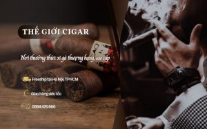 Địa chỉ mua xì gà chất lượng và uy tín