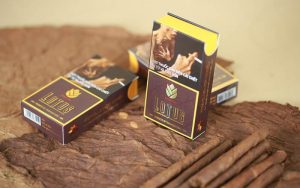 tiêu chí lựa chọn xì gà mini chất lượng