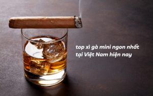 top xì gà mini ngon nhất