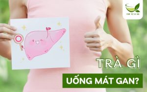 trà gì uống mát gan
