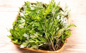 Trà ngải cứu