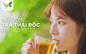 nên uống trà thải độc khi nào