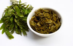 Trà phan tả diệp