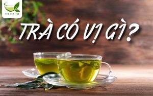 trà có vị gì
