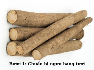 Chuẩn bị khoảng 2–3 củ ngưu bàng tươi