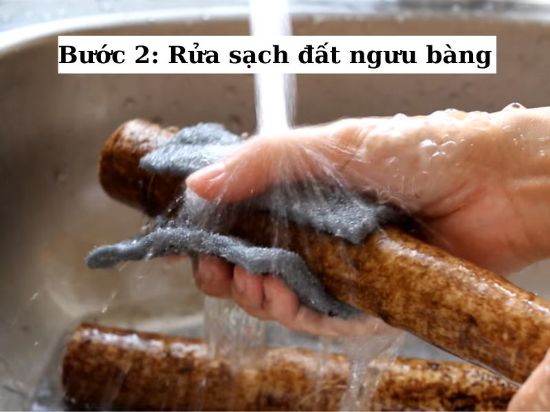 rửa sạch củ ngưu bàng dưới vòi nước