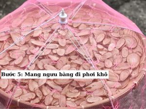 Phơi ngưu bàng dưới ánh nắng trực tiếp