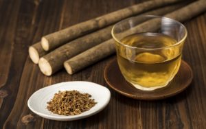 thời điểm uống trà ngưu bàng và liều lượng hợp lý
