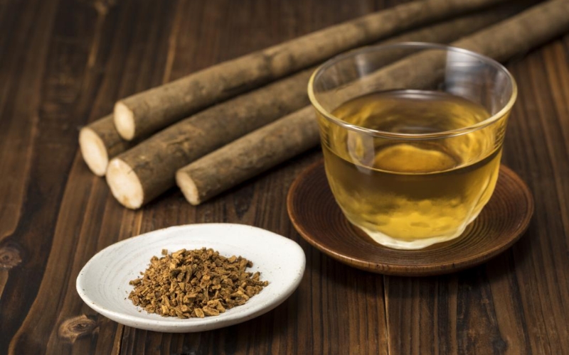 thời điểm uống trà ngưu bàng và liều lượng hợp lý 