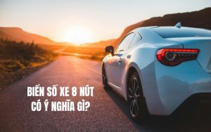 biển số xe 8 nút có ý nghĩa gì