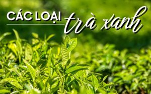 các loại trà xanh
