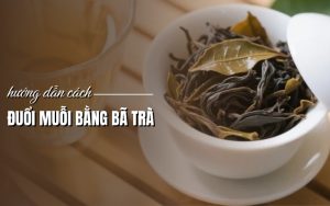 cách đuổi muỗi bằng bã trà