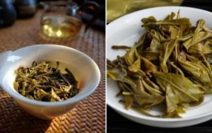 Tại sao bã trà có thể đuổi muỗi