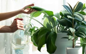 Hỗ trợ sự phát triển của vi sinh có lợi trong đất