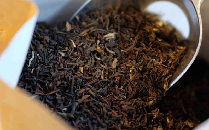 Quy trình chế biến trà Darjeeling thượng hạng