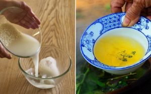 So sánh tưới cây bằng nước trà và nước vo gạo