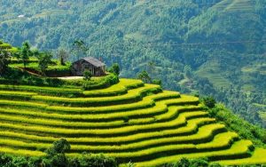 công ty du lịch chuyên tour Hà Giang uy tín