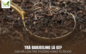 Trà Darjeeling là gì