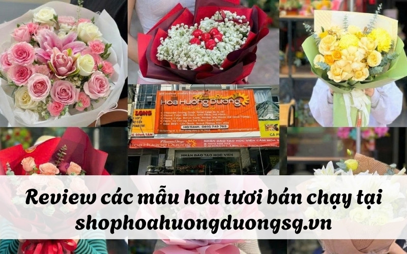 Blog