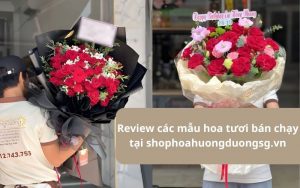 Tổng hợp các mẫu hoa tươi bán chạy tại shophoahuongduongsg.vn