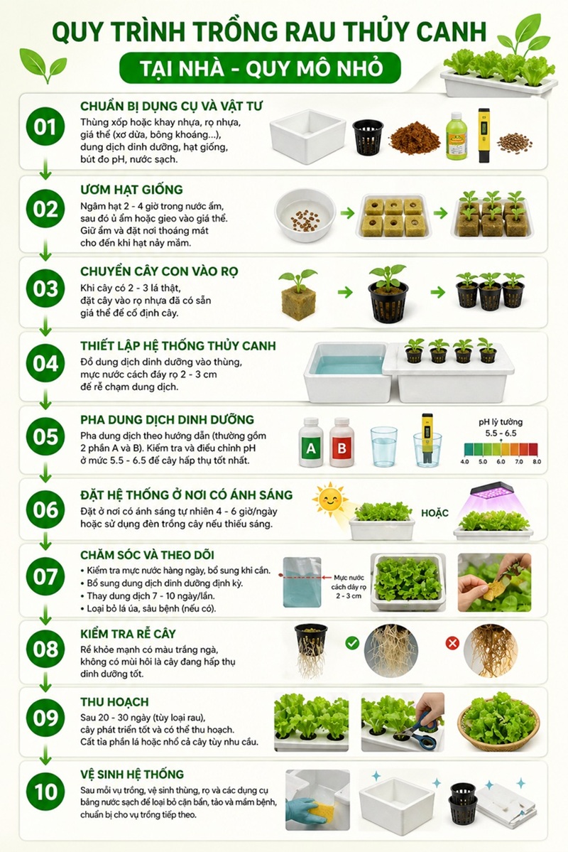 quy trình trồng rau thủy canh