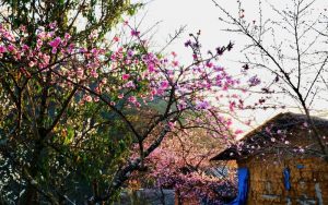 Du lịch Hà Giang tháng 1