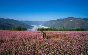 Du lịch Hà Giang tháng 11