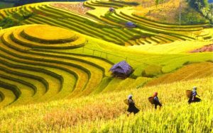 Du lịch Hà Giang tháng 8 và tháng 9